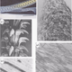 (a) Optical image of the tongue-like radula containing bands of teeth. (b) Scanning electron micrograph shows each tooth length approximately 100 μm. High-magnification electron microscopy images of the tooth cusp show (c) the changing orientation of the nanofibrous goethite in the protein matrix and (d) the high variation in grain of the composite due to alignment of the goethite, note the mineral fibre length of ~3 μm, with (e) close-up of the tooth indicating the distinct phases of the goethite ‘reinforcing fiber’ and the protein ‘matrix’ highlighting the structural resemblance to a fibre-reinforced composite material with an average fibre diameter of ~20 nm.